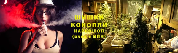 каннабис Алексеевка